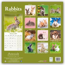 Avonside Publishing Ltd: Rabbits - Kaninchen 2025 - 16-Monatskalender, Kalender