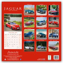 Avonside Publishing Ltd: Jaguar 2025 - 16-Monatskalender, Kalender