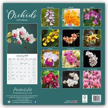 Avonside Publishing Ltd: Orchids - Orchideen 2025 - 16-Monatskalender, Kalender