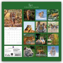Text: "Tigers 16-Month 2027 Calendar", "August 2027". Bilder von Tigern in verschiedenen Posen und Landschaften.