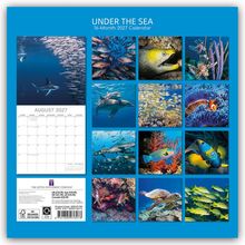 "UNDER THE SEA", "16-Month 2027 Calendar", "AUGUST 2027". Zwölf Meeresfotos mit Fischen und Delfinen.