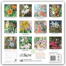 Kew Gardens: Exotic Plants by Marianne North Wall Calendar 2025 (Art Calendar), Kalender