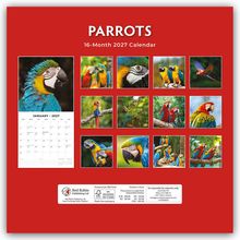 Text: "PARROTS", "16-Month 2027 Calendar", "January 2027". Elf Fotos bunter Papageien auf rotem Hintergrund.