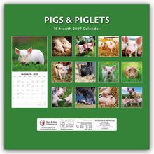 "PIGS & PIGLETS 16-Month 2027 Calendar." Ein Kalendarium für Januar 2027 und Fotos von Ferkeln auf grünem Hintergrund.