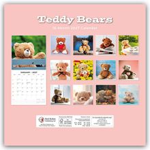Titel: „Teddy Bears 16-Month 2027 Calendar“. Fotos von Teddybären in verschiedenen Posen und Umgebungen.