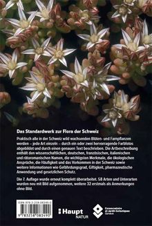 Konrad Lauber: Flora Helvetica - Illustrierte Flora der Schweiz, Buch