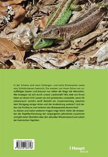 Rückansicht vergrößern