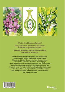 Titel: Wie ist eine Pflanze aufgebaut? Illustration: Blumen und Pflanzenschnitt. Text erklärt botanische Grundlagen.