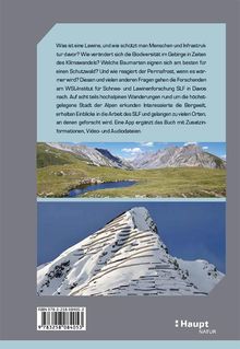 Rückansicht vergrößern