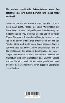 Daniel Schaup: Seelenplan, Buch
