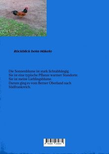 Verena Aeschbacher: Unbrauchbar...., Buch