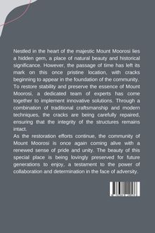 Alisha: Repairing Cracks, Restoring Stability: Solutions for Mount Moorosi, Buch