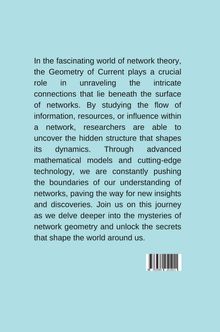 Amit: The Geometry of Current: Unveiling the Hidden Structure of Networks, Buch