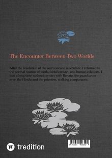 Aldivan Torres: The Encounter Between Two Worlds, Buch