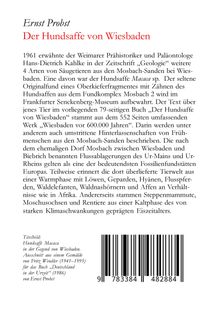 Ernst Probst: Der Hundsaffe von Wiesbaden, Buch