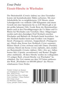 Ernst Probst: Eiszeit-Hirsche in Wiesbaden, Buch