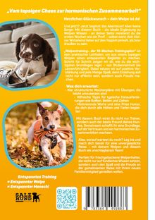 „Vom tapsigen Chaos zur harmonischen Zusammenarbeit.“ Zwei Hunde, einer mit einem Schuh, der andere mit einer Leine im Maul.