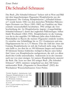 Rückansicht vergrößern