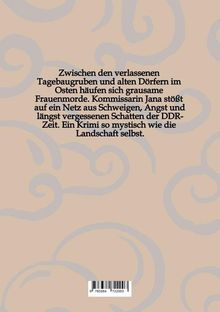 Ein mystischer Krimi im Osten: Frauenmorde, Netze aus Schweigen und Angst in DDR-Schatten. Hintergrund mit abstrakten Mustern.