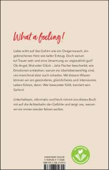 Julia Fischer: Die Medizin der Gefühle, Buch
