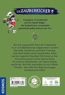 Fabian Lenk: Die Zauberkicker, 4, Foulspiel, Buch