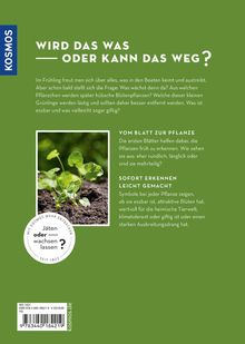Grüner Hintergrund mit weißem Text: "Wird das was oder kann das weg?" Anleitung zur Pflanzenbestimmung, Foto von kleinen Pflanzen.