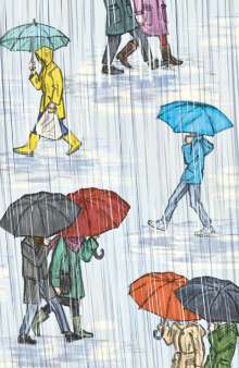 'Ein kleiner Regen macht nicht nass', Buch