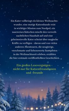 Ein Kater vollbringt ein Weihnachtswunder. Unten: Ein großes Lesevergnügen – nicht nur für Katzenfreunde. Hintergrund: Winterwald.