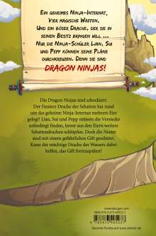 Michael Petrowitz: Dragon Ninjas, Band 6: Der Drache des Wassers (drachenstarkes Ninja-Abenteuer für Kinder ab 8 Jahren), Buch