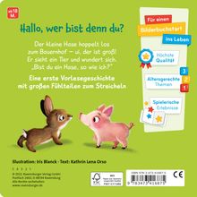 Kathrin Lena Orso: Mein erstes Vorlese-Fühlbuch: Bist du ein Hase?, Buch