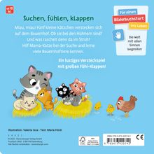 Maria Höck: Wo seid ihr, kleine Kätzchen? Spielbuch mit vielen Stoff-Klappen, Kinderbuch ab 18 Monaten, Pappbilderbuch, Buch