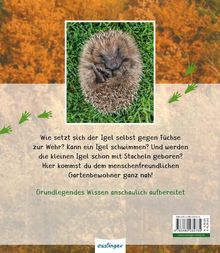 Valérie Tracqui: Meine große Tierbibliothek: Der Igel, Buch