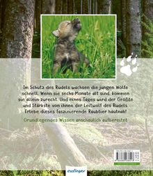 Christian Havard: Meine große Tierbibliothek: Der Wolf, Buch