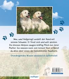 Valérie Tracqui: Meine große Tierbibliothek: Der Hund, Buch