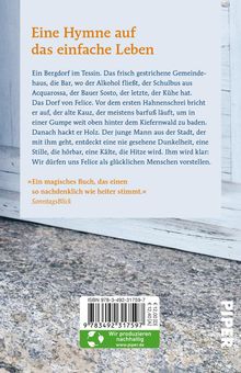 Fabio Andina: Tage mit Felice, Buch