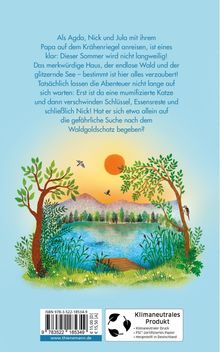 Nikola Huppertz: Unser Sommer am See, Buch