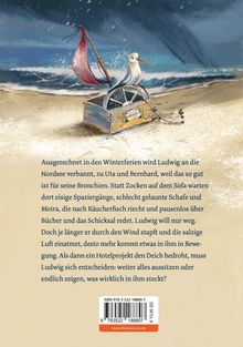 Ein Möwe sitzt auf einer kleinen Kiste mit einem roten Segel am Strand. Stürmische See im Hintergrund.