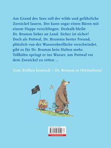 Daniel Napp: Dr. Brumm geht baden, Buch