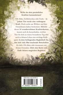 Sabine Bohlmann: Ein Mädchen namens Willow: Krafttiere, Buch