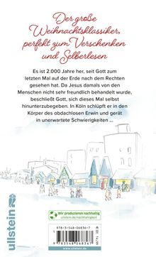 Jasna Mittler: Der heilige Erwin, Buch