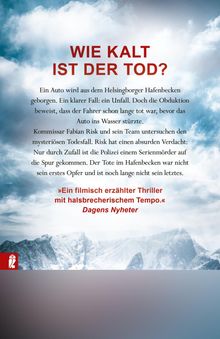 „WIE KALT IST DER TOD?“ steht groß, darunter ein Thriller-Text. Im Hintergrund sind schneebedeckte Berge zu sehen.