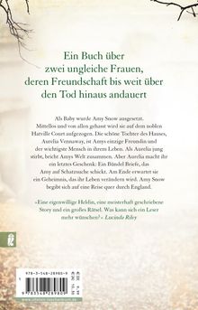 Tracy Rees: Die Reise der Amy Snow, Buch