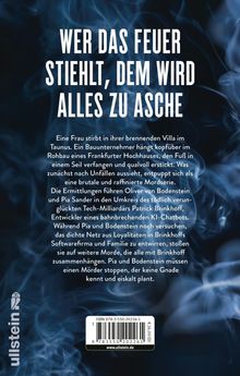 Wer das Feuer stiehlt, dem wird alles zu Asche. Darunter eine Krimibeschreibung. Hintergrund in Rauchoptik. Ullstein-Logo.