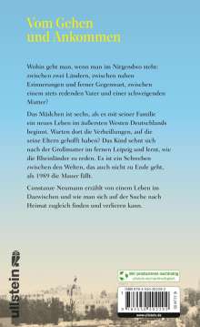 Constanze Neumann: Das Jahr ohne Sommer, Buch