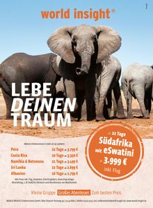 "world insight. LEBE DEINEN TRAUM. Südafrika mit eSwatini ab 3.999 €. Elefanten auf einer offenen Landschaft."