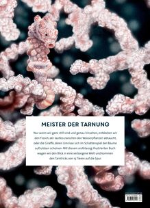 "Meister der Tarnung" Text erklärt Tarnung bei Tieren, illustriertes Buch. Illustration zeigt ein gut getarntes Seepferdchen.