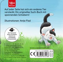 minifanten 41: Ratzepüh! Wer schläft da?, Buch