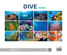 Text: "DIVE 2027". Eine Collage von zwölf lebhaften Unterwasserfotos mit Korallen, Fischen und Meeresleben.