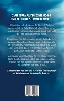 Text oben: "Zwei Sturmfluten. Zwei Morde. Und die dritte Sturmflut naht ..."

Hintergrund: blau mit Wolkenstruktur. Unten ein Barcode.