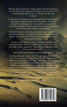 Text beschreibt eine Fantasy-Welt nach einem zerstörerischen Ereignis, thematisiert Magieverbote und ungewöhnliche Figuren. Im Hintergrund sind Sanddünen zu sehen.